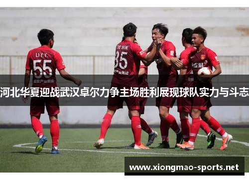 河北华夏迎战武汉卓尔力争主场胜利展现球队实力与斗志